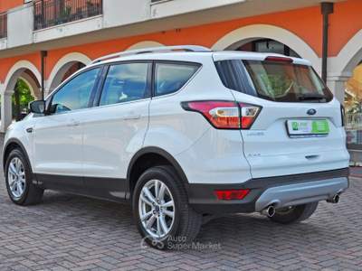 Ford Kuga 1.5 TDCI 120 CV S&S 2WD Titanium Bianco usata Saonara