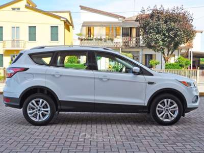 Ford Kuga 1.5 TDCI 120 CV S&S 2WD Titanium Bianco usata Saonara