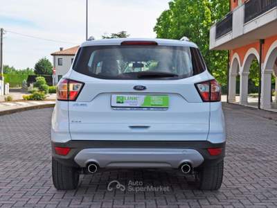 Ford Kuga 1.5 TDCI 120 CV S&S 2WD Titanium Bianco usata Saonara