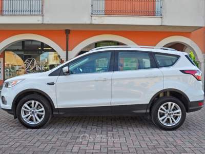 Ford Kuga 1.5 TDCI 120 CV S&S 2WD Titanium Bianco usata Saonara