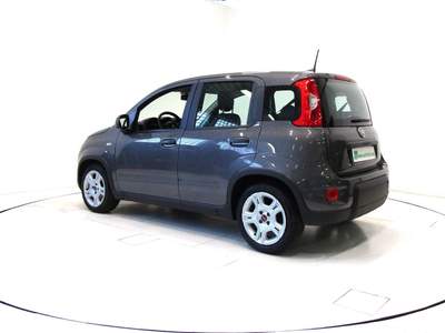 Fiat Panda 1.0 FireFly Hybrid City Life * 5 POSTO *OK NEOPA.* Grigio usata Andalo Valtellino