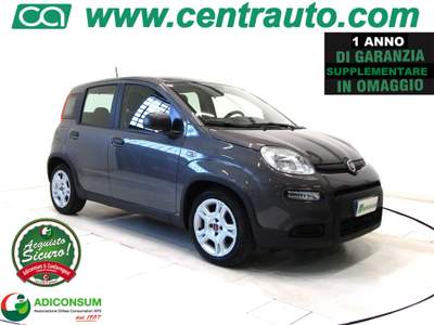 Fiat Panda 1.0 FireFly Hybrid City Life * 5 POSTO *OK NEOPA.* Grigio usata Andalo Valtellino Fiat Panda 1.0 FireFly Hybrid City Life * 5 POSTO *OK NEOPA.* Grigio usata Andalo Valtellino