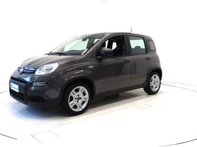 Fiat Panda 1.0 FireFly Hybrid City Life * 5 POSTO *OK NEOPA.* Grigio usata Andalo Valtellino