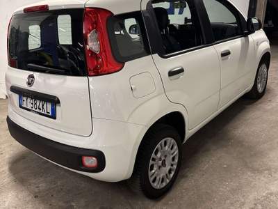 Fiat Panda 1.2 Easy 69cv Euro6 usata Cologno Monzese