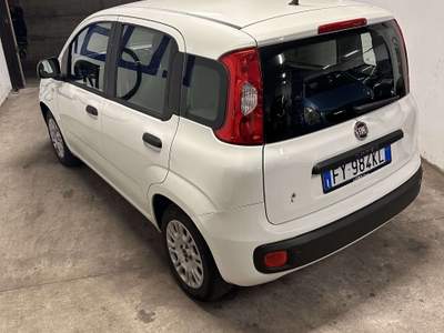 Fiat Panda 1.2 Easy 69cv Euro6 usata Cologno Monzese