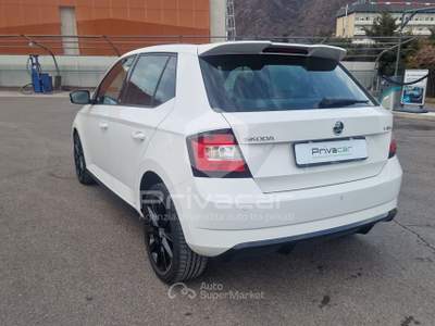 Skoda Fabia SKODA Fabia 1.2 TSI Monte Carlo Bianco usata Bolzano