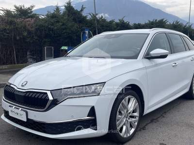 Skoda Octavia SKODA Octavia 2.0 TDI 150 CV DSG Wagon Sportline Bianco usata Bolzano