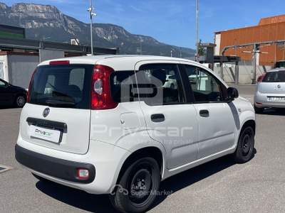 Fiat Panda FIAT Panda 1.2 Easy Bianco usata Bolzano