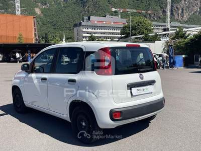 Fiat Panda FIAT Panda 1.2 Easy Bianco usata Bolzano