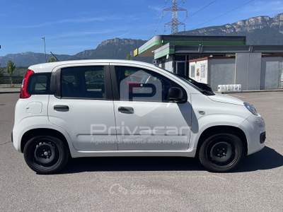Fiat Panda FIAT Panda 1.2 Easy Bianco usata Bolzano