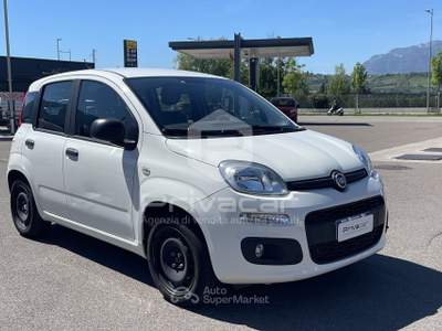 Fiat Panda FIAT Panda 1.2 Easy Bianco usata Bolzano