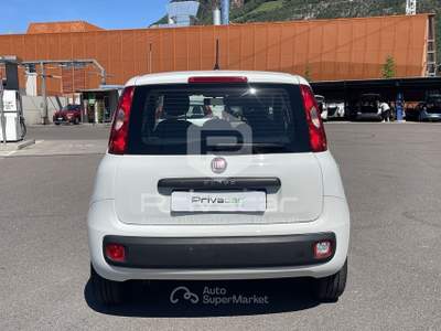 Fiat Panda FIAT Panda 1.2 Easy Bianco usata Bolzano