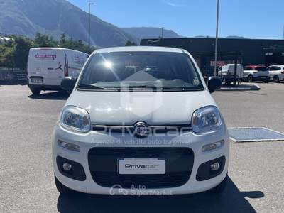 Fiat Panda FIAT Panda 1.2 Easy Bianco usata Bolzano