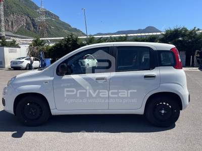 Fiat Panda FIAT Panda 1.2 Easy Bianco usata Bolzano