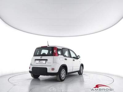 Fiat Panda 1.0 FireFly S&S Hybrid 5P. Ti Bianco usata Corciano