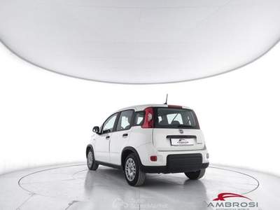 Fiat Panda 1.0 FireFly S&S Hybrid 5P. Ti Bianco usata Corciano