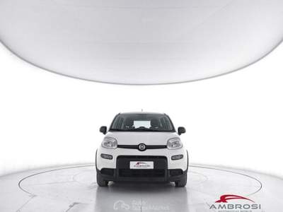 Fiat Panda 1.0 FireFly S&S Hybrid 5P. Ti Bianco usata Corciano