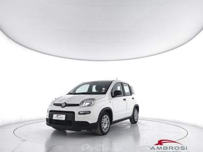 Fiat Panda 1.0 FireFly S&S Hybrid 5P. Ti Bianco usata Corciano