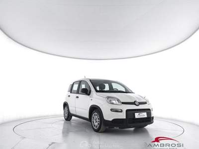 Fiat Panda 1.0 FireFly S&S Hybrid 5P. Ti Bianco usata Corciano