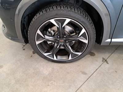 Cupra Formentor 2.0 tdi 150cv usata Rovigo
