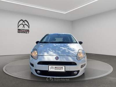 Fiat Punto 1.3 Multijet Lounge Bianco usata Roma