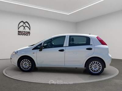 Fiat Punto 1.3 Multijet Lounge Bianco usata Roma