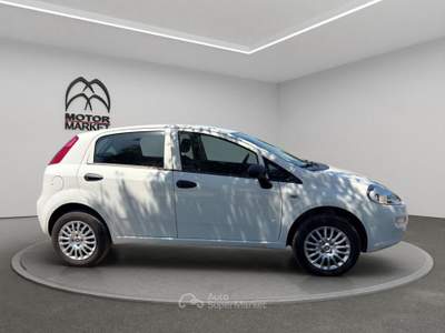 Fiat Punto 1.4 Natural Power Lounge Bianco usata Roma