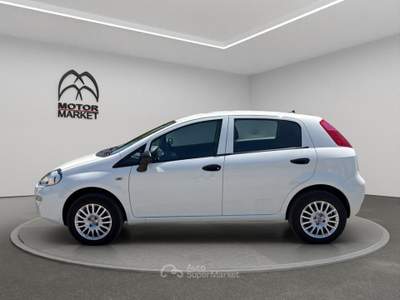 Fiat Punto 1.4 Natural Power Lounge Bianco usata Roma