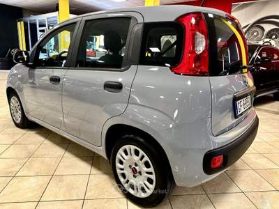 Fiat Panda 1.0 FireFly S&S Hybrid UNIPRO 30.000 KM! Grigio usata Bozzolo