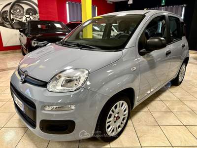 Fiat Panda 1.0 FireFly S&S Hybrid UNIPRO 30.000 KM! Grigio usata Bozzolo