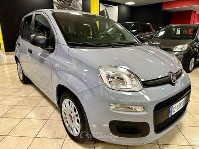 Fiat Panda 1.0 FireFly S&S Hybrid UNIPRO 30.000 KM! Grigio usata Bozzolo