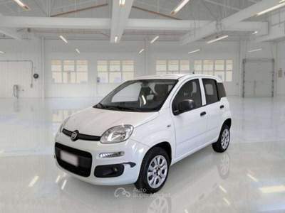 Fiat Panda Panda 0.9 twinair natural power VAN - targa FT267Y Bianco usata Basiliano