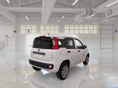Fiat Panda Panda 0.9 twinair natural power VAN - targa FT267Y Bianco usata Basiliano