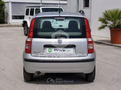 Fiat Panda FIAT Panda 1.2 Dualogic Grigio usata San Benedetto del Tronto