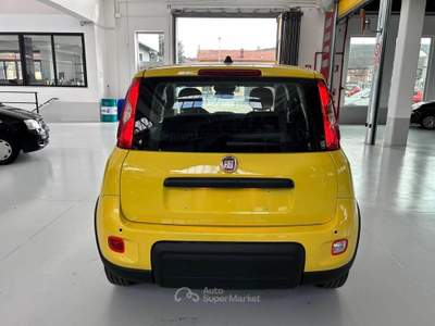 Fiat Panda Panda 1.0 firefly s&s hybrid pop Giallo usata Torino
