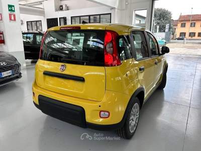 Fiat Panda Panda 1.0 firefly s&s hybrid pop Giallo usata Torino