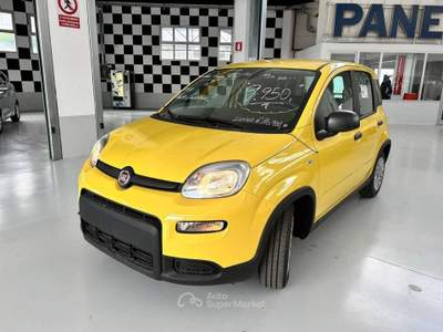 Fiat Panda Panda 1.0 firefly s&s hybrid pop Giallo usata Torino
