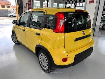 Fiat Panda Panda 1.0 firefly s&s hybrid pop Giallo usata Torino