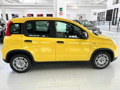 Fiat Panda Panda 1.0 firefly s&s hybrid pop Giallo usata Torino