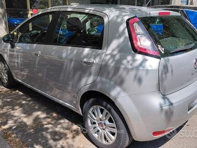 Fiat Punto 1.4 S&S 8V 5 porte Lounge usata Torino