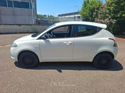 Lancia Ypsilon 1.2 GPL 126.000 KM NEOPATENTATI usata Grosseto