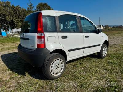 Fiat Panda 4x4 SOLO 164.000 KM usata Grosseto