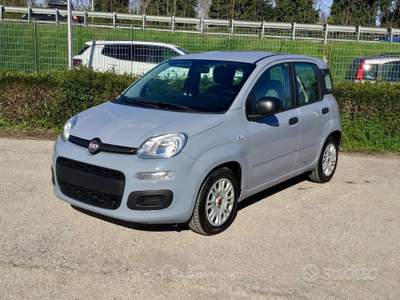 Fiat Panda FireFly S&S Hybrid usata TURRIVALIGNANI