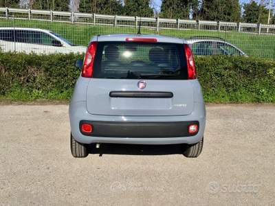 Fiat Panda FireFly S&S Hybrid usata TURRIVALIGNANI