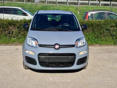 Fiat Panda FireFly S&S Hybrid usata TURRIVALIGNANI