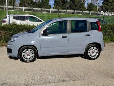 Fiat Panda FireFly S&S Hybrid usata TURRIVALIGNANI