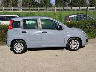 Fiat Panda FireFly S&S Hybrid usata TURRIVALIGNANI