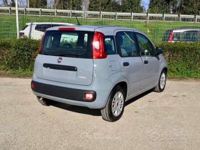 Fiat Panda FireFly S&S Hybrid usata TURRIVALIGNANI