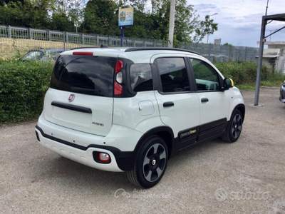 Fiat Panda Pandina Cross 1.0 FireFly 70Cv Hybrid usata TURRIVALIGNANI