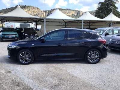 Ford Focus Hybrid 155 CV Powershift 5 usata TURRIVALIGNANI